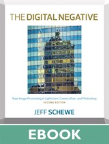 Digital Negative, The: Raw Image Processing in Lightroom, Camera Raw, and Photoshop, 2nd Edition